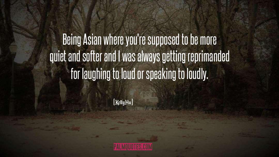 Kelly Hu Quotes: Being Asian where you're supposed