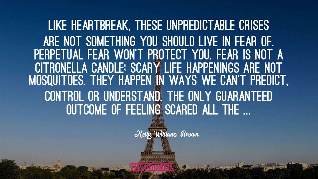 Kelly Williams Brown Quotes: Like heartbreak, these unpredictable crises