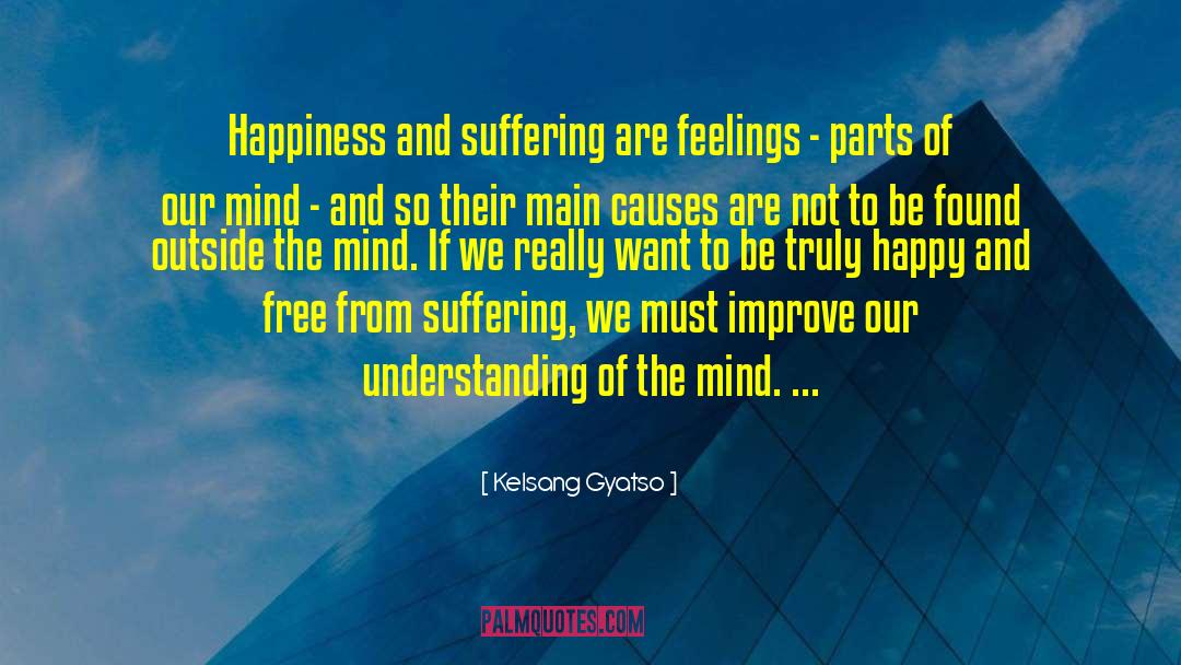 Kelsang Gyatso Quotes: Happiness and suffering are feelings