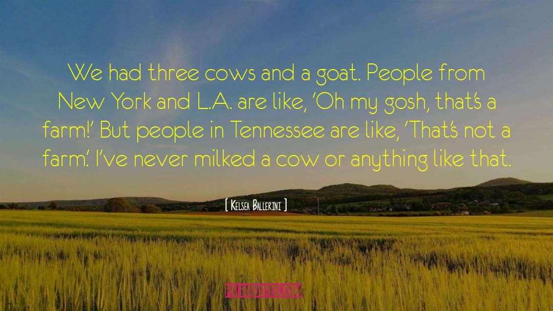 Kelsea Ballerini Quotes: We had three cows and