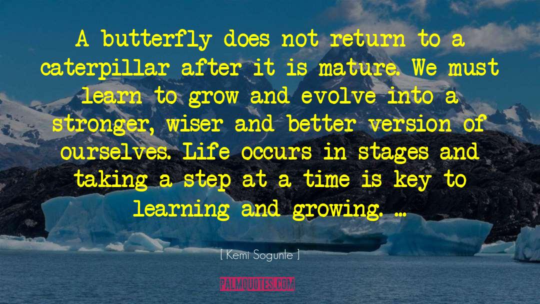 Kemi Sogunle Quotes: A butterfly does not return