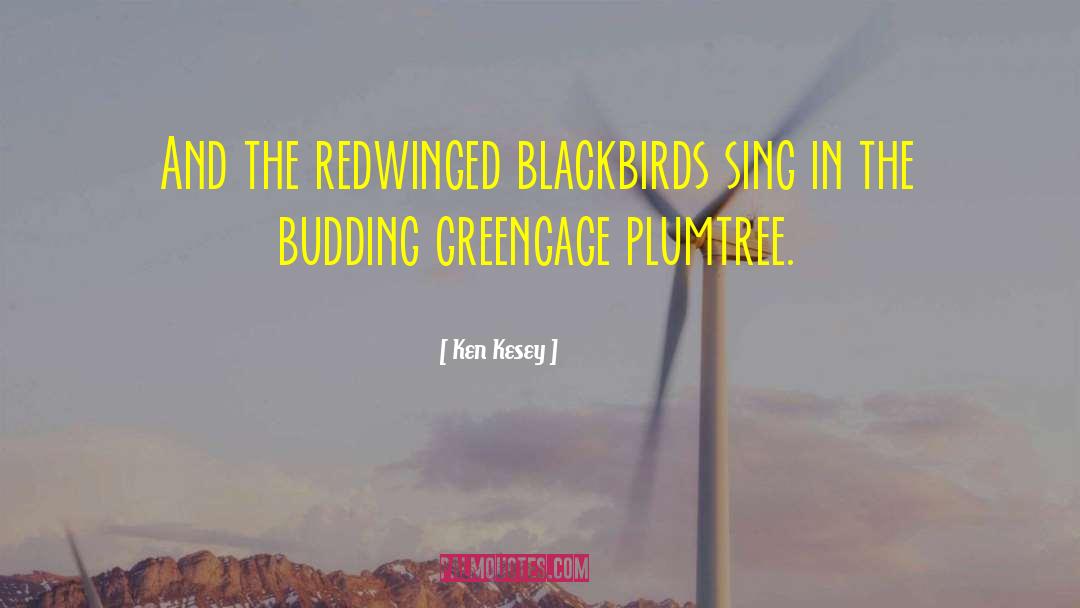 Ken Kesey Quotes: And the redwinged blackbirds sing