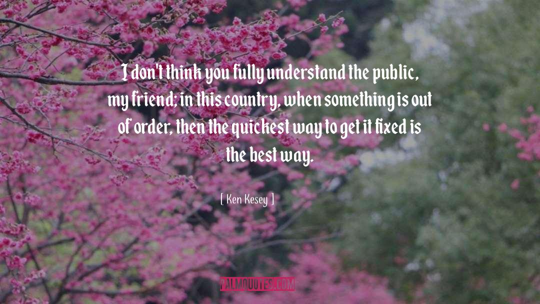 Ken Kesey Quotes: I don't think you fully