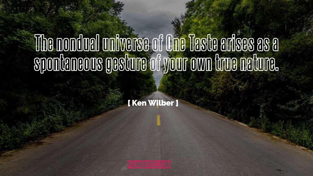 Ken Wilber Quotes: The nondual universe of One