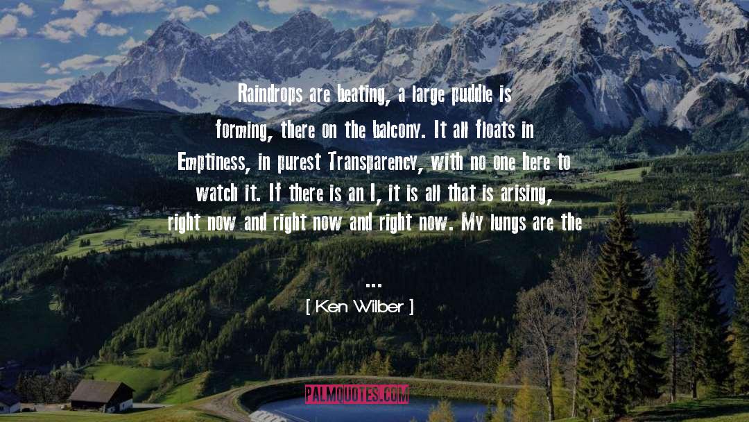 Ken Wilber Quotes: Raindrops are beating, a large