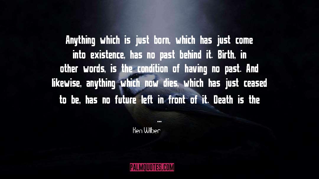 Ken Wilber Quotes: Anything which is just born,