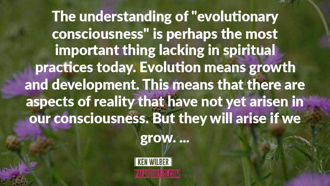 Ken Wilber Quotes: The understanding of 