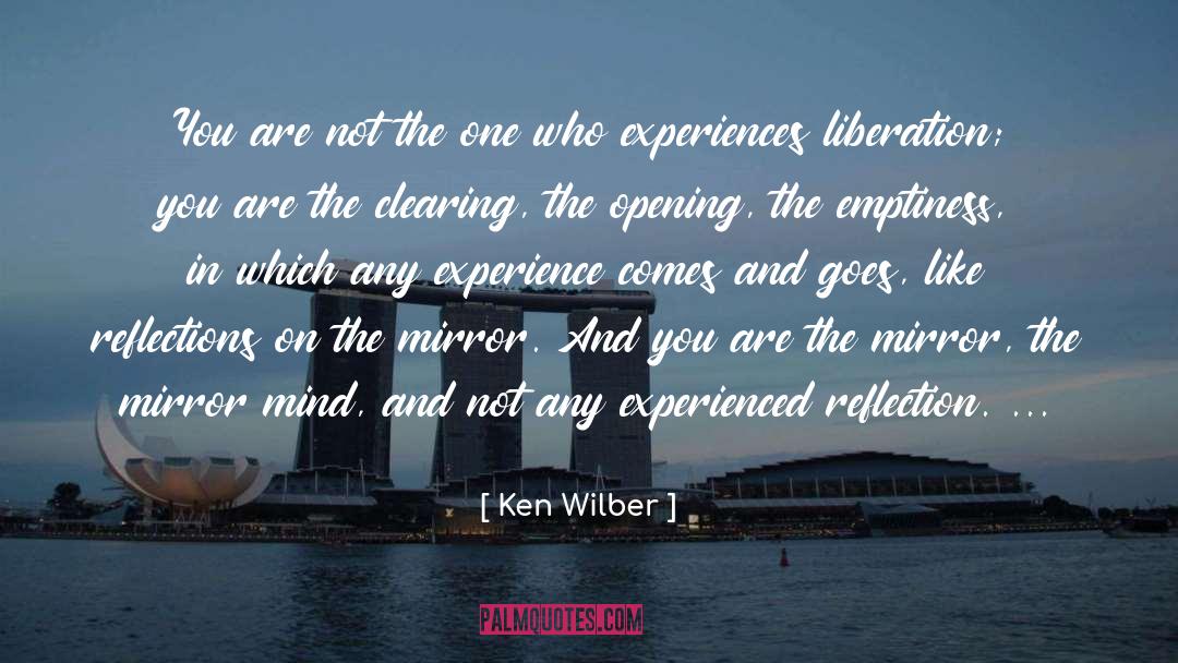 Ken Wilber Quotes: You are not the one