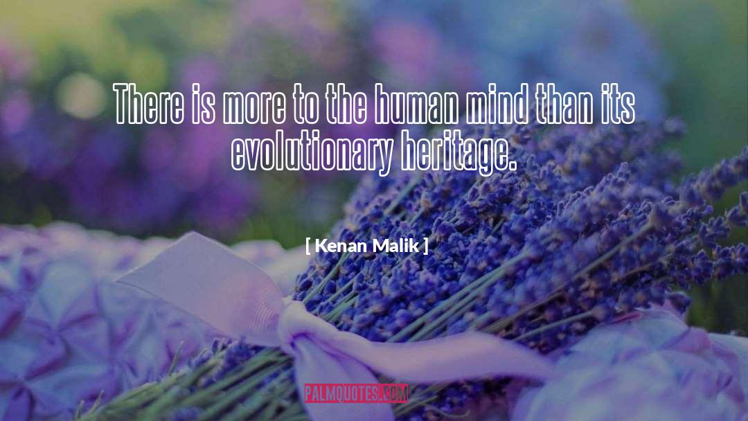 Kenan Malik Quotes: There is more to the