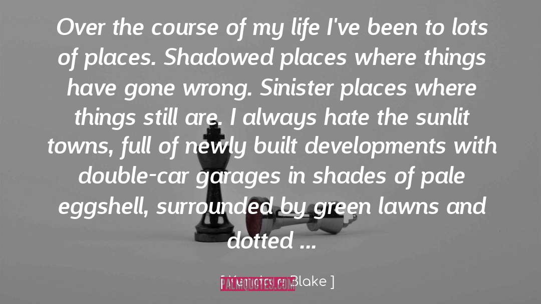 Kendare Blake Quotes: Over the course of my