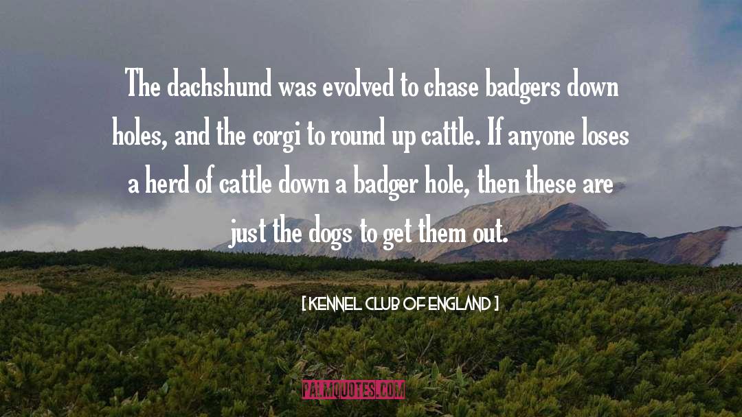 Kennel Club Of England Quotes: The dachshund was evolved to