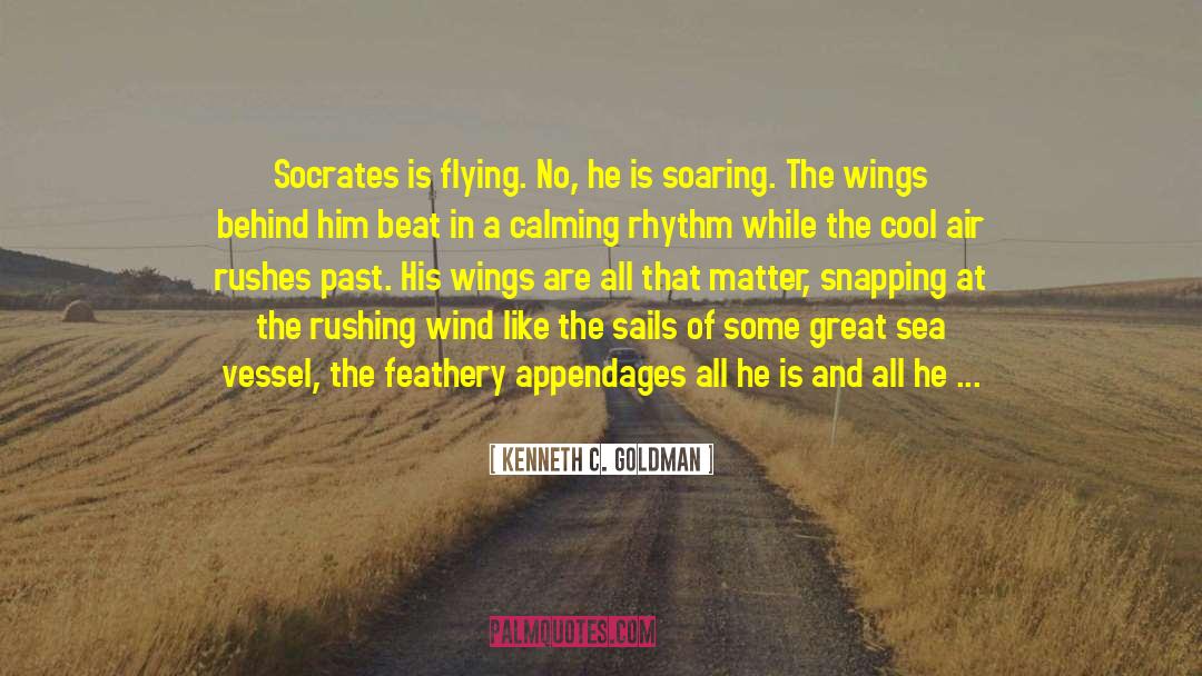 Kenneth C. Goldman Quotes: Socrates is flying. No, he