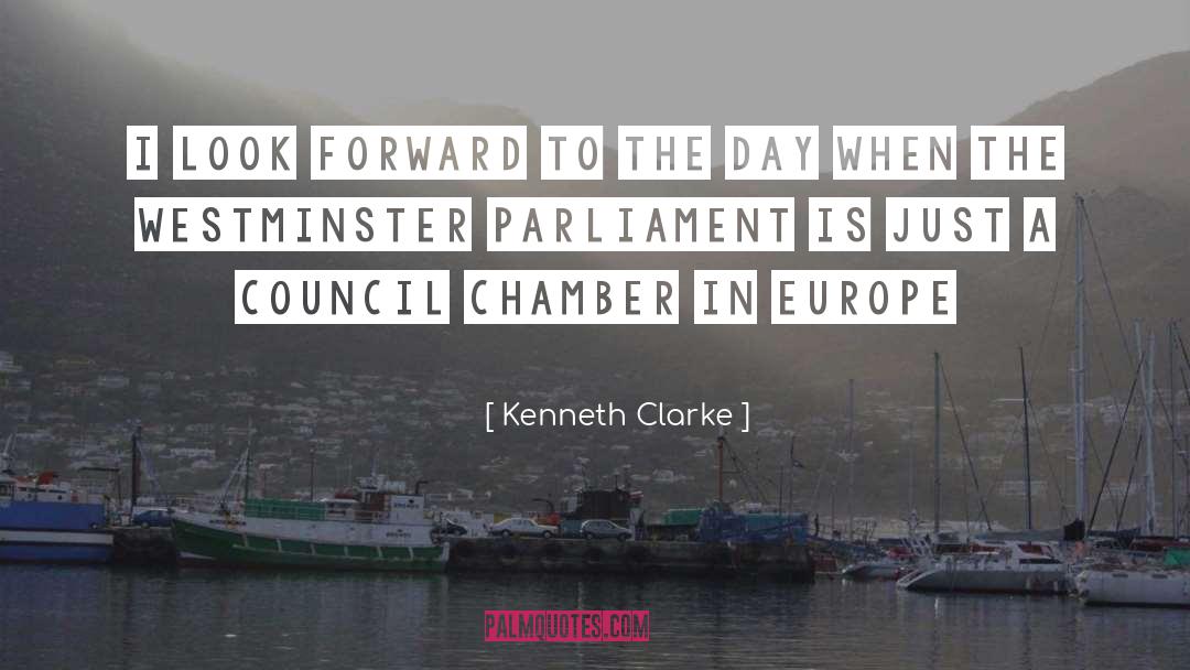 Kenneth Clarke Quotes: I look forward to the