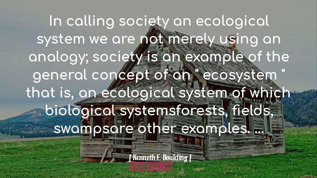 Kenneth E. Boulding Quotes: In calling society an ecological