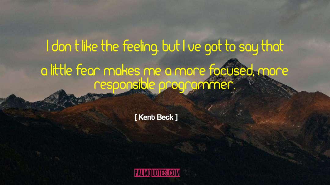 Kent Beck Quotes: I don't like the feeling,