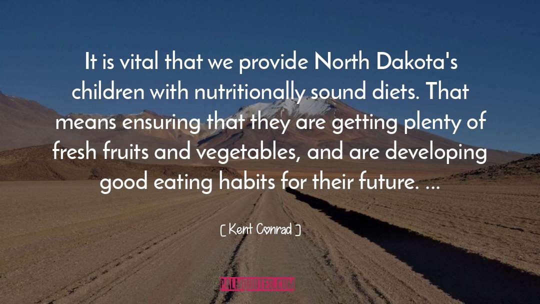 Kent Conrad Quotes: It is vital that we