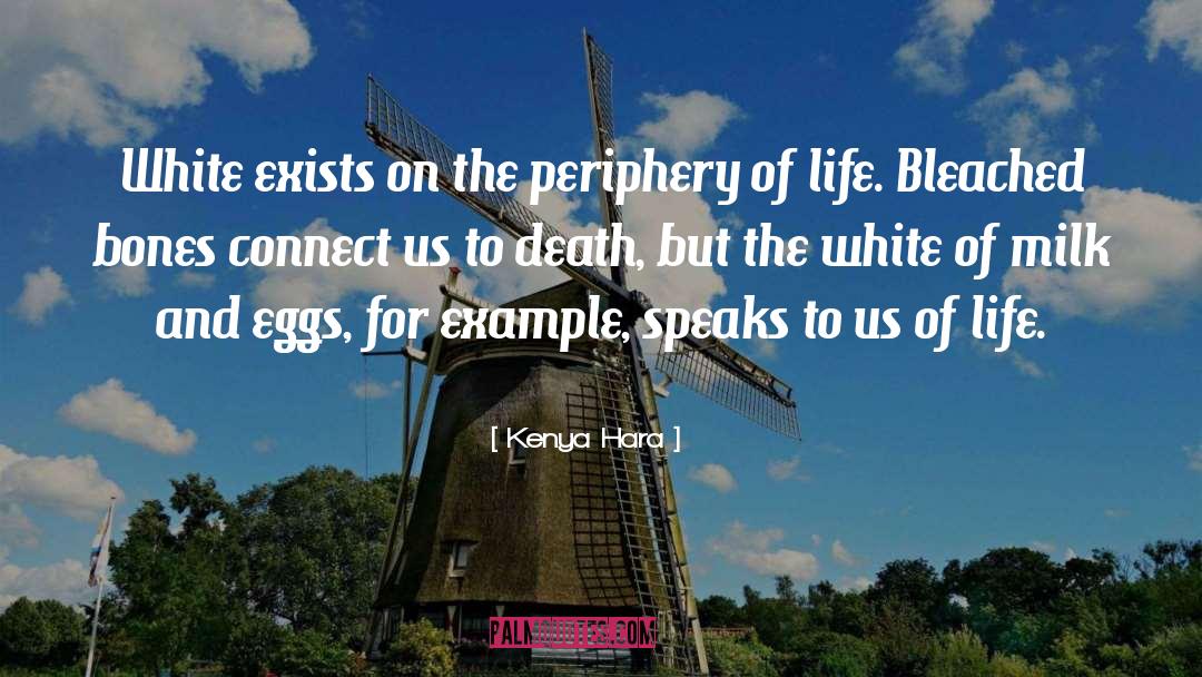 Kenya Hara Quotes: White exists on the periphery