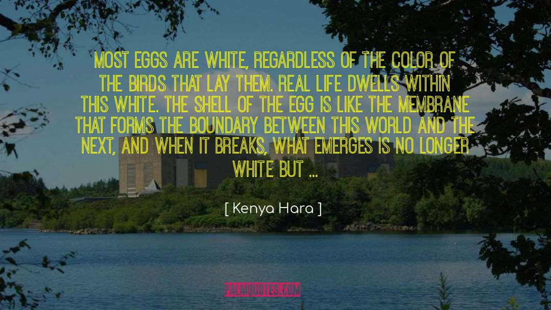 Kenya Hara Quotes: Most eggs are white, regardless