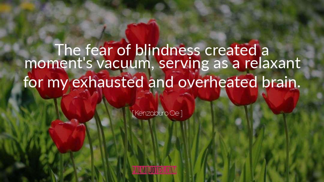 Kenzaburo Oe Quotes: The fear of blindness created