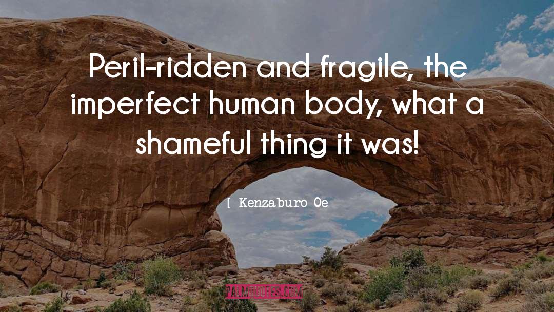 Kenzaburo Oe Quotes: Peril-ridden and fragile, the imperfect