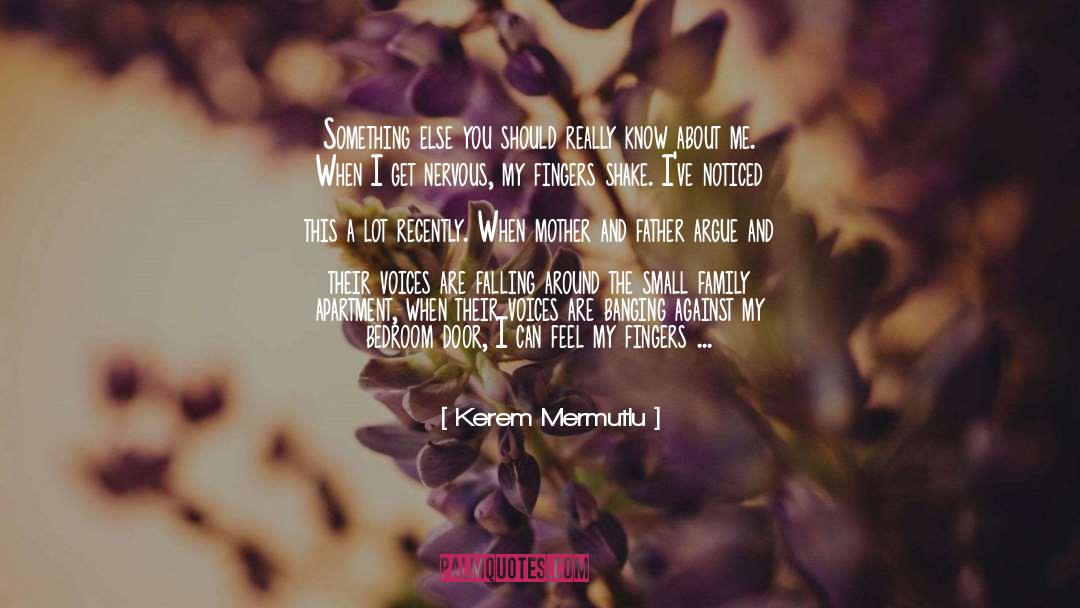 Kerem Mermutlu Quotes: Something else you should really