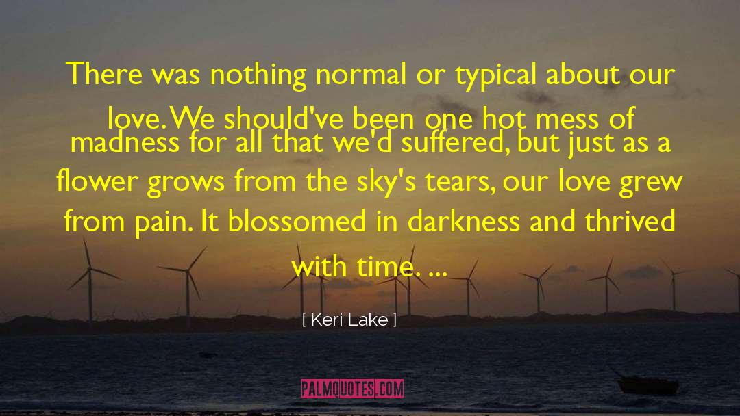 Keri Lake Quotes: There was nothing normal or