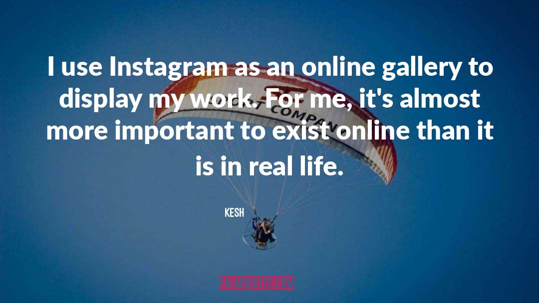 Kesh Quotes: I use Instagram as an