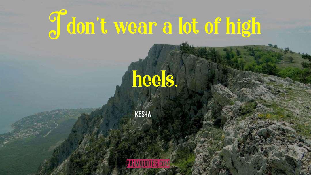 Kesha Quotes: I don't wear a lot