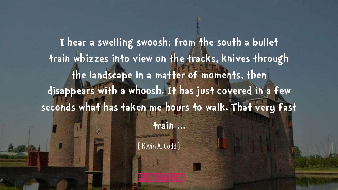 Kevin A. Codd Quotes: I hear a swelling swoosh;