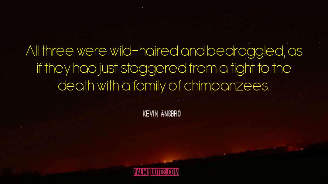 Kevin Ansbro Quotes: All three were wild-haired and