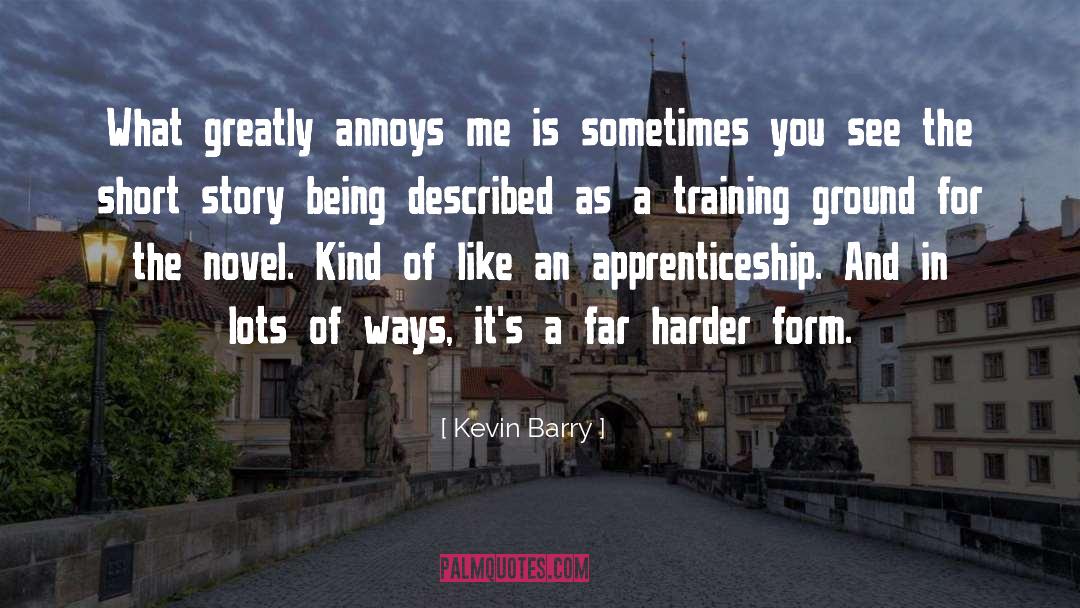 Kevin Barry Quotes: What greatly annoys me is