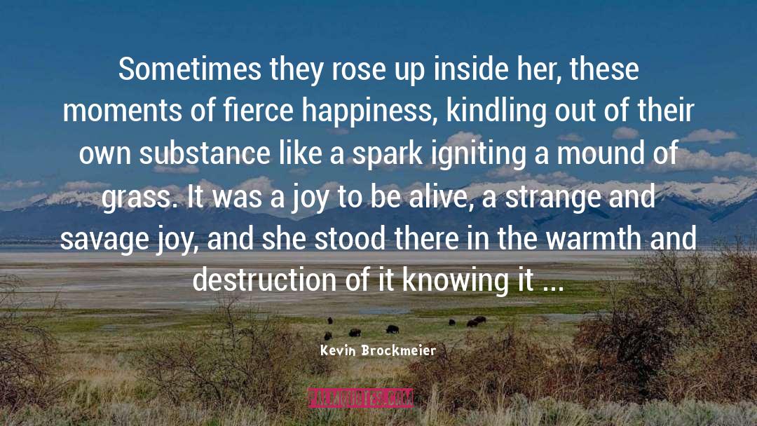 Kevin Brockmeier Quotes: Sometimes they rose up inside