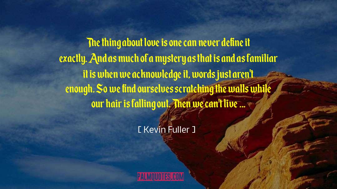 Kevin Fuller Quotes: The thing about love is