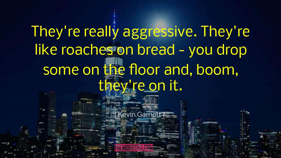 Kevin Garnett Quotes: They're really aggressive. They're like