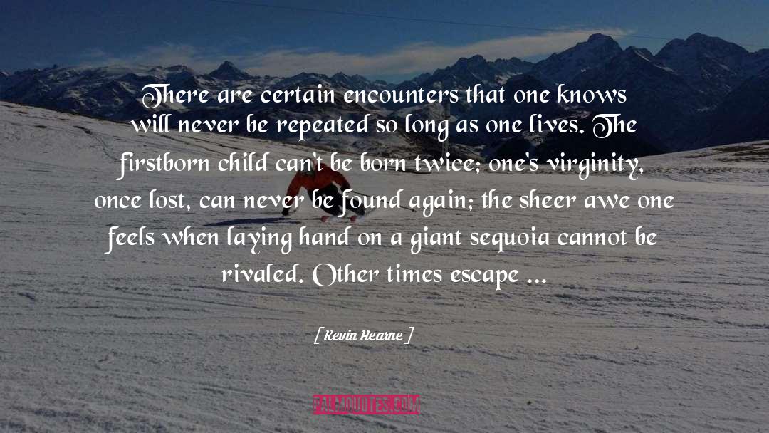 Kevin Hearne Quotes: There are certain encounters that