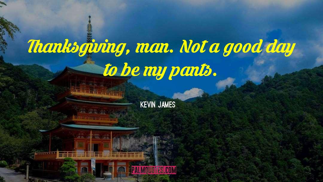 Kevin James Quotes: Thanksgiving, man. Not a good