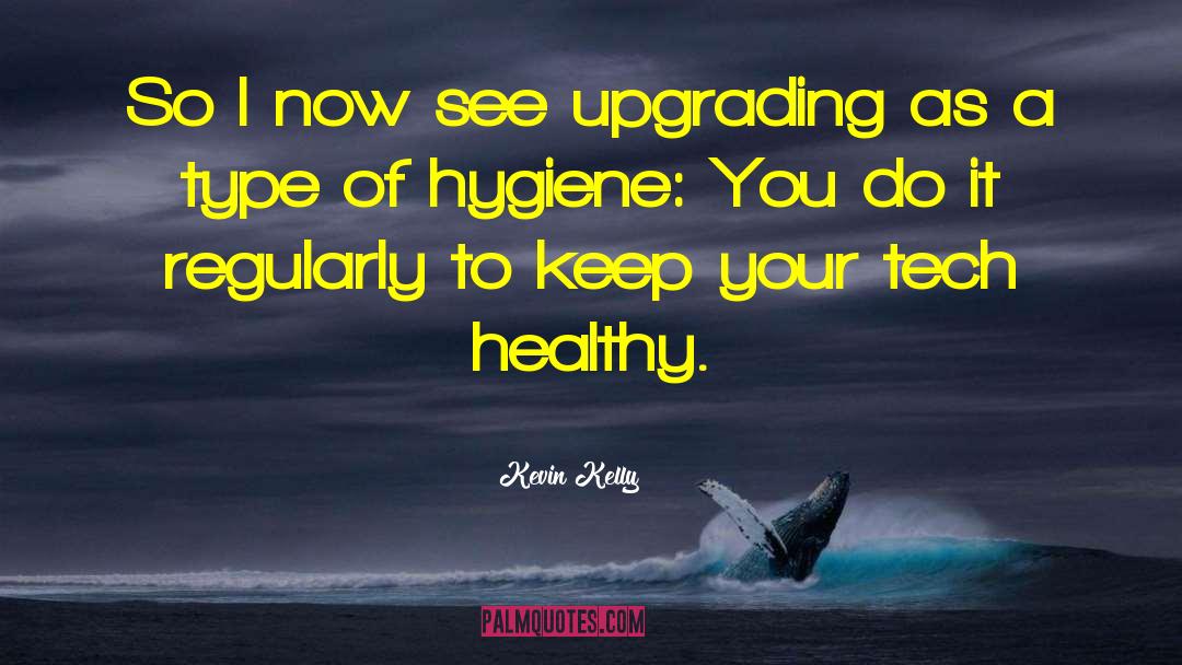 Kevin Kelly Quotes: So I now see upgrading