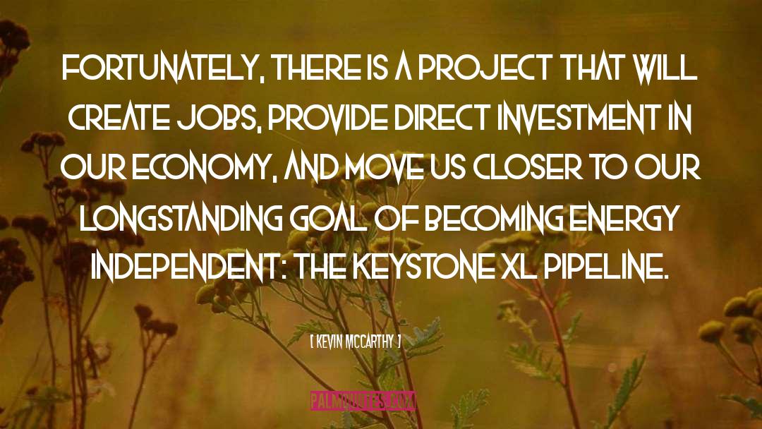 Kevin McCarthy Quotes: Fortunately, there is a project