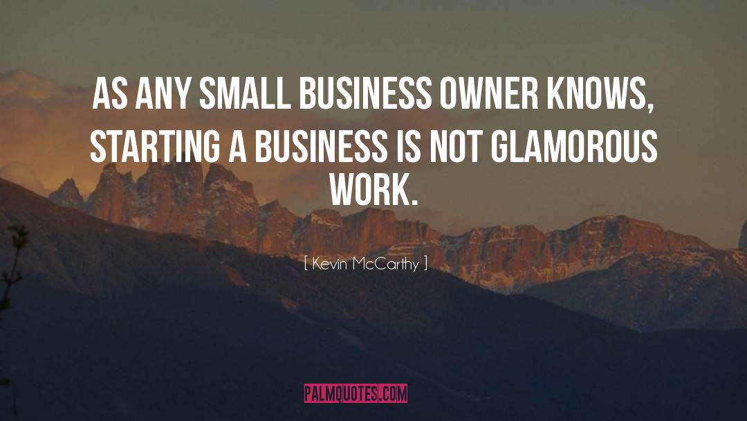 Kevin McCarthy Quotes: As any small business owner