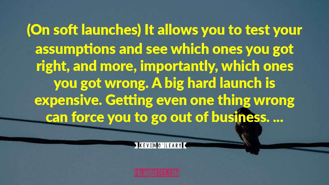 Kevin O'Leary Quotes: (On soft launches) It allows