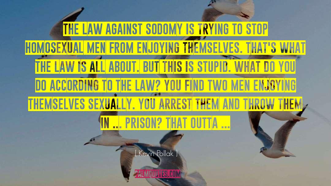 Kevin Pollak Quotes: The law against sodomy is