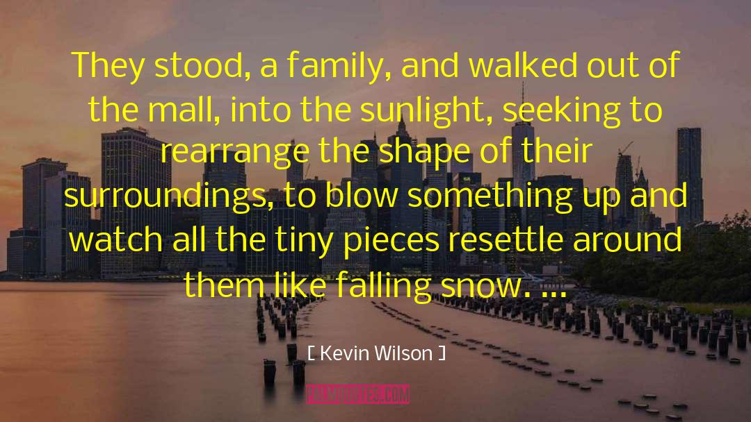 Kevin Wilson Quotes: They stood, a family, and