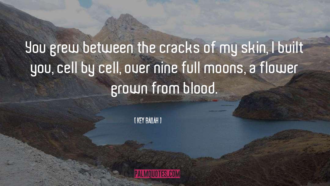 Key Ballah Quotes: You grew between the cracks