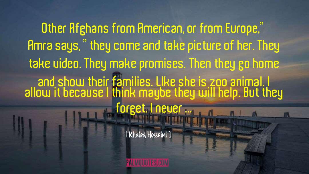 Khaled Hosseini Quotes: Other Afghans from American, or