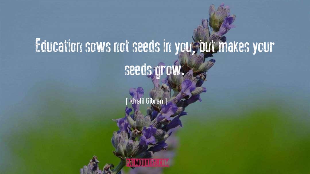 Khalil Gibran Quotes: Education sows not seeds in