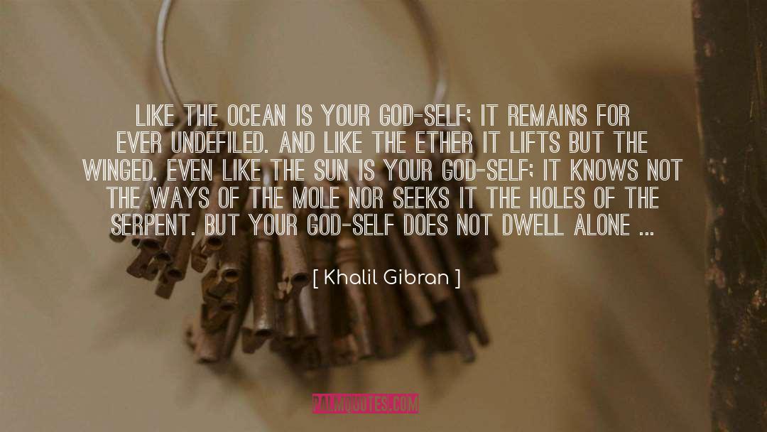 Khalil Gibran Quotes: Like the ocean is your