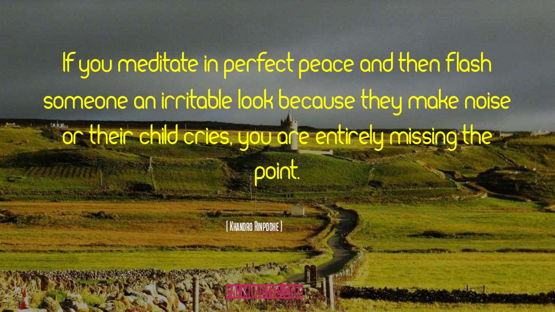 Khandro Rinpoche Quotes: If you meditate in perfect