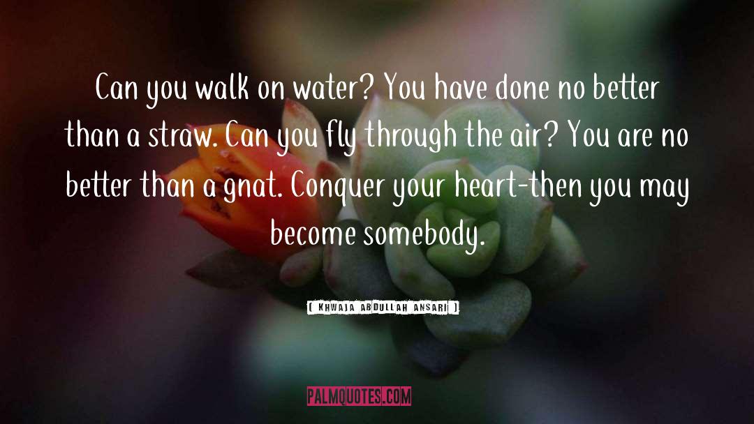 Khwaja Abdullah Ansari Quotes: Can you walk on water?