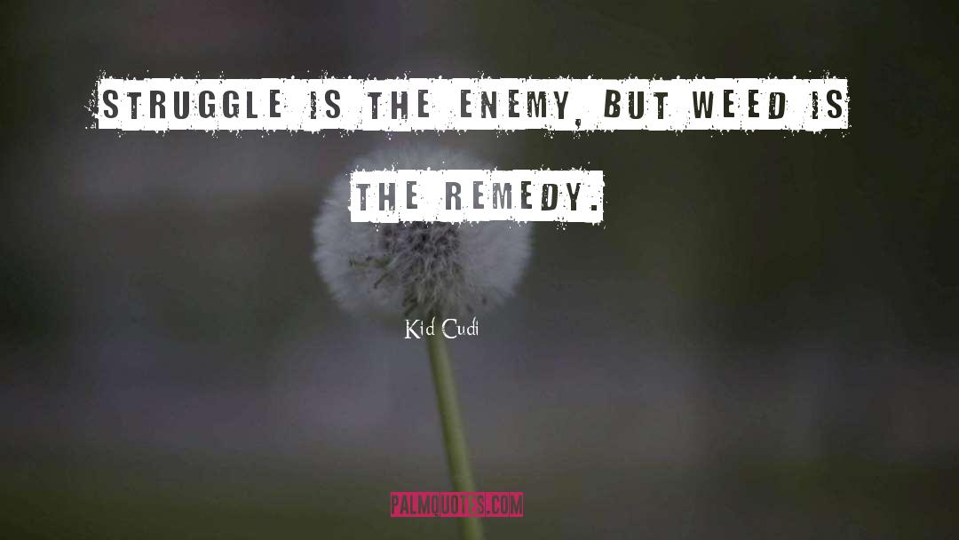 Kid Cudi Quotes: Struggle is the enemy, but