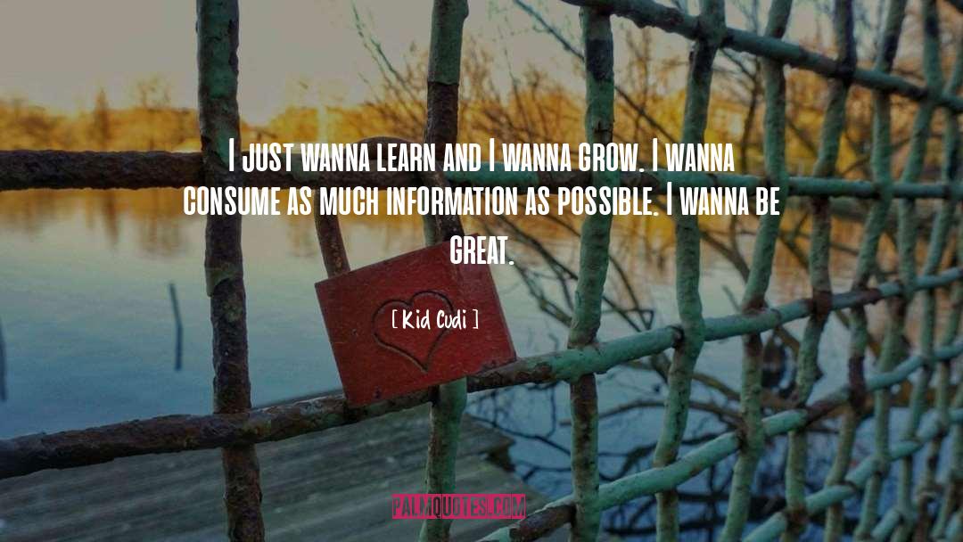 Kid Cudi Quotes: I just wanna learn and